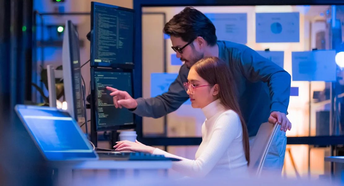 banner it support
