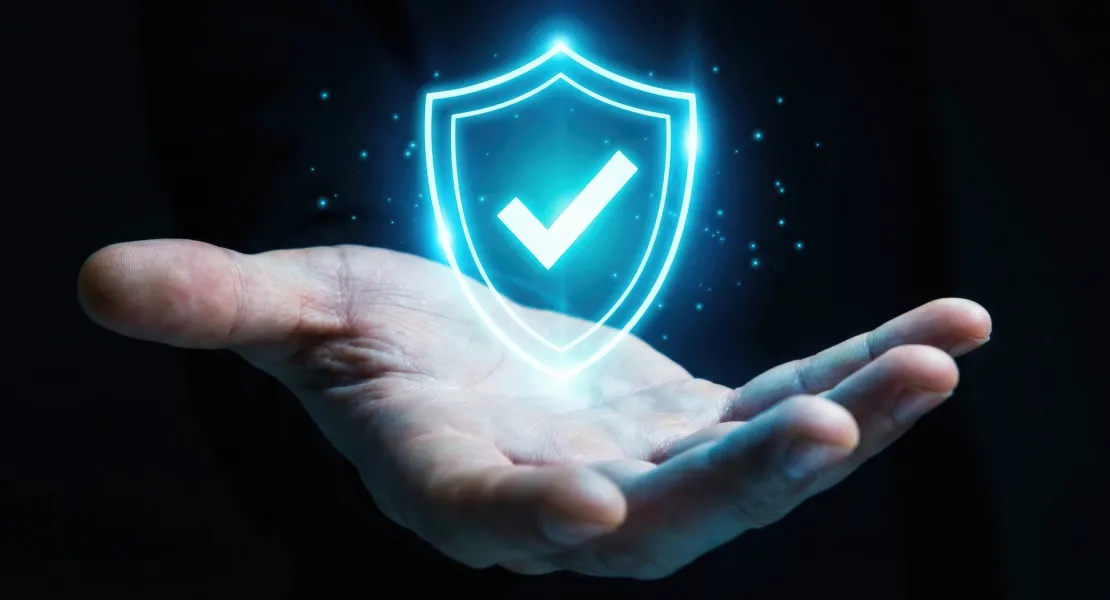 banner security assessment